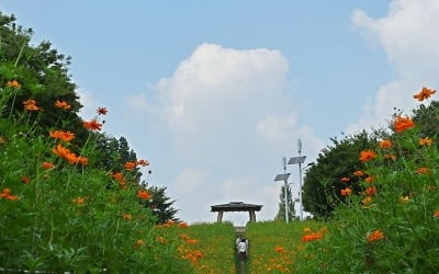 추석 코앞인데 전국 80%에 '폭염특보'…곳곳 9월 기온 '신기록'