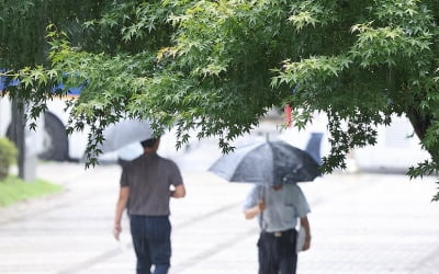 밤 길어지는 '추분'…전국 곳곳 흐리고 비