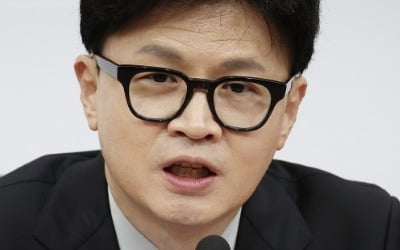 한동훈 "尹 독대 요청, 흠집내기 아냐…김 여사 사안도 만찬서 논의"