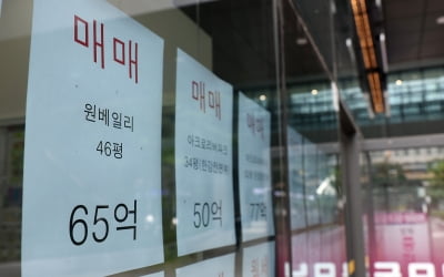 공인중개사협회 "서울 아파트값, 한 달 만에 4.5% 하락"