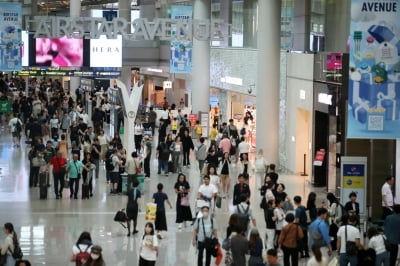 "황금연휴에 잠이 안 온다"…호텔신라 주주의 한숨 [진영기의 찐개미 찐투자]