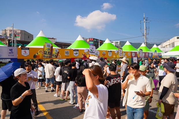 2024 예산 맥주페스티벌 35만 방문객 유치하며 '한국형 옥토버페스트' 입지 굳혀