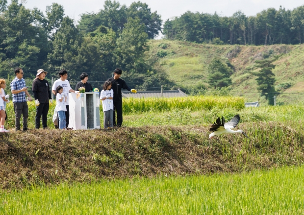 ㈜보령, 예산군과 함께 멸종위기 ‘황새’ 보전 활동 참여