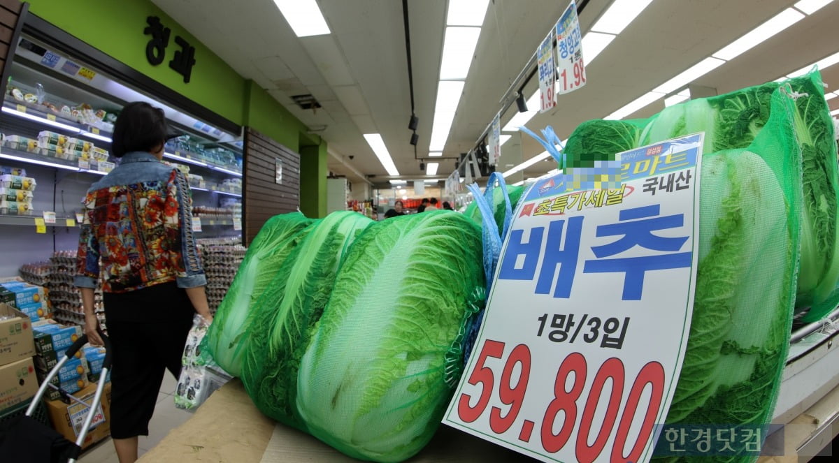  서울 시내의 한 식자재마트에서 시민들이 장을 보고 있다. 사진=최혁 기자