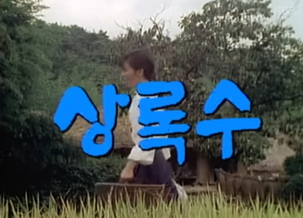 드라마 '상록수' (1985.10.12) / 사진출처. KBS TV 문학관