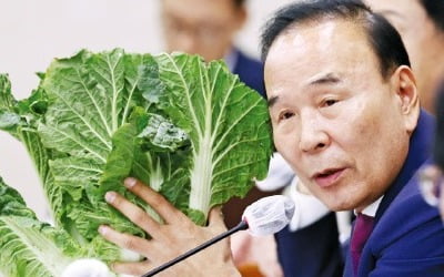 "李 재판 빨리해야" vs "尹 선거법 위반"…첫날부터 정쟁국감