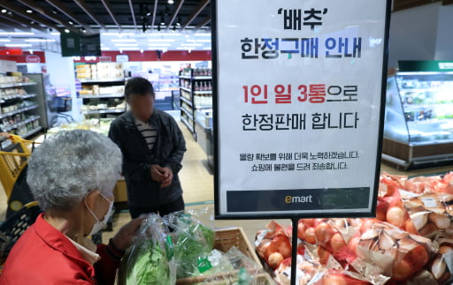 이상기후로 인한 수급난으로 배춧값이 급등하자 최근 한 대형마트에선 구입물량을 제한하는 일까지 벌어졌다. 뉴스1