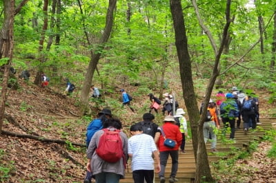 올 가을에 가볼만한 고양누리길