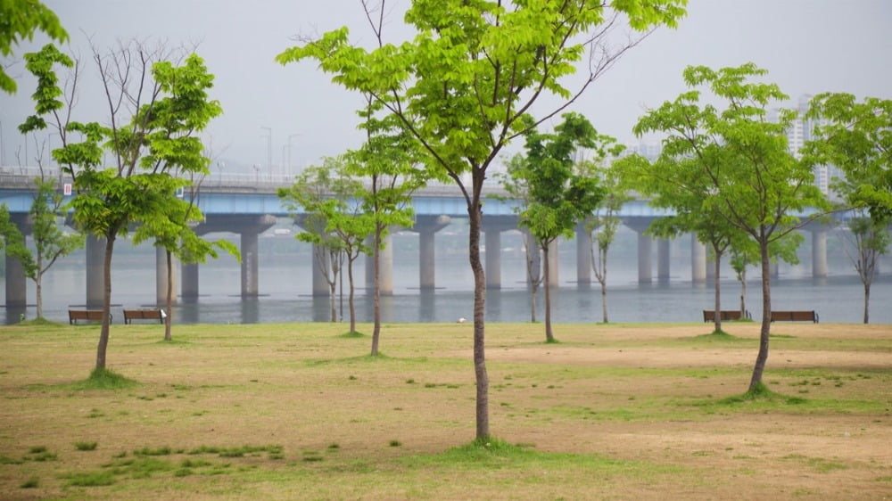 '한강 올림푸스 슬롯사이트' 예상한 챗GPT가 다음 수상자로 찍은 한국인