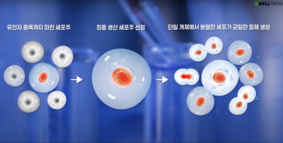 CDMO 준비하는 셀트리온, 자체 세포주 개발 플랫폼 공개