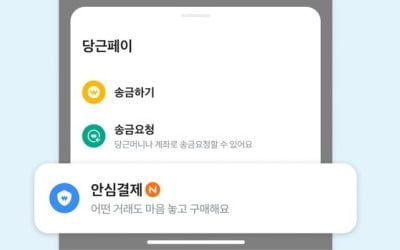 "비대면 사기 막아라"…당근, 중고거래 '안심결제' 기능 도입