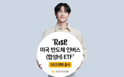 국장에서도 美 반도체 하락 베팅…'RISE 미국반도체인버스' ETF 출시