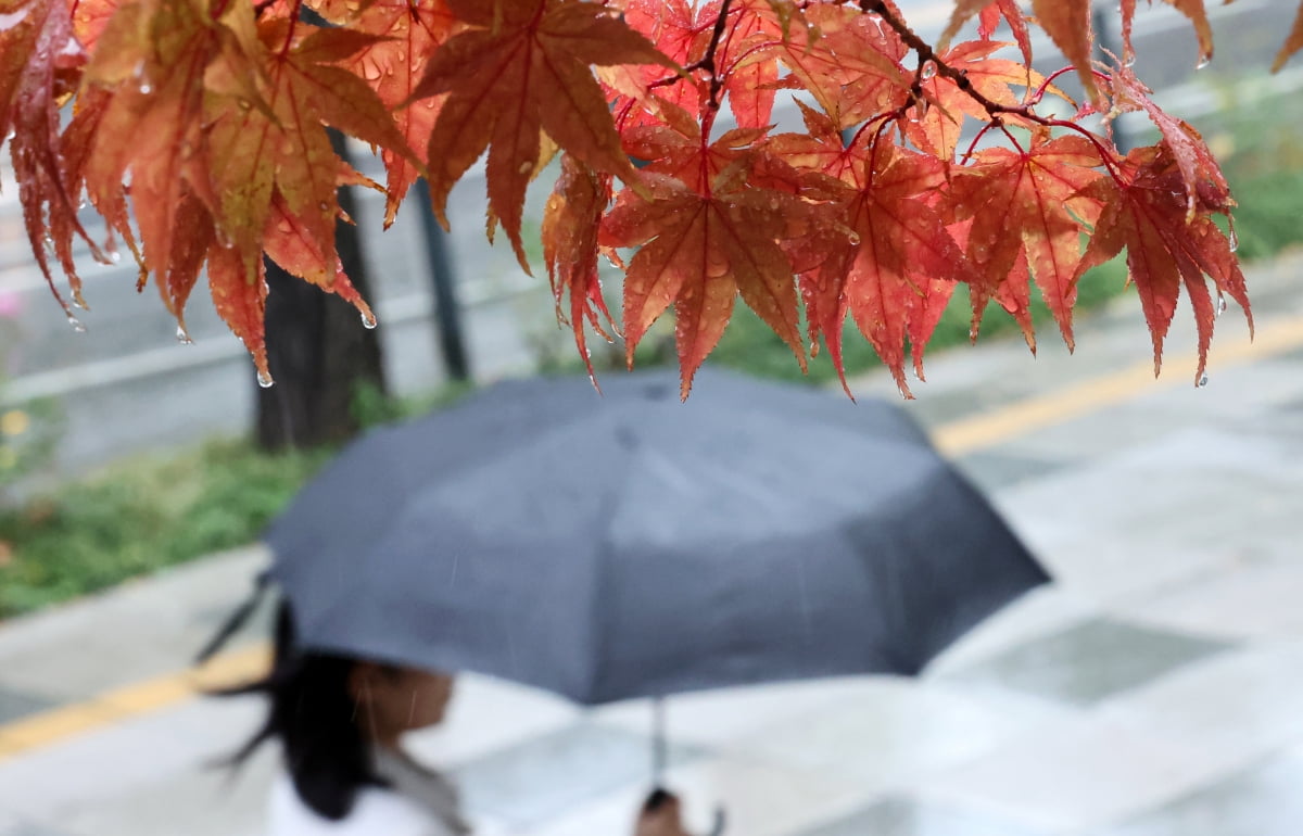 [포토] 가을비 내리는 서울