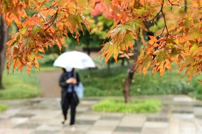 [포토] 가을비 내리는 카지노 추천