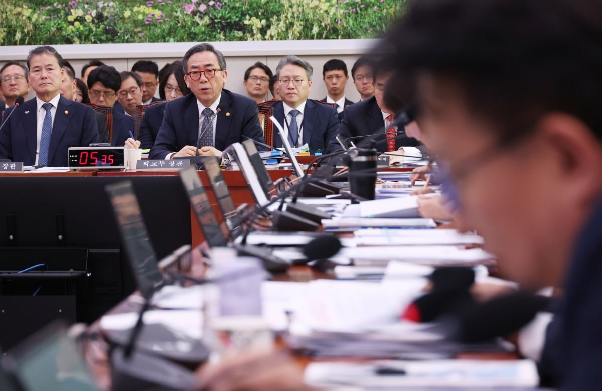 24일 국회에서 열린 외교통일위원회 국정감사에서 조태열 외교부 장관이 의원 질의에 답하고 있다. 연합뉴스