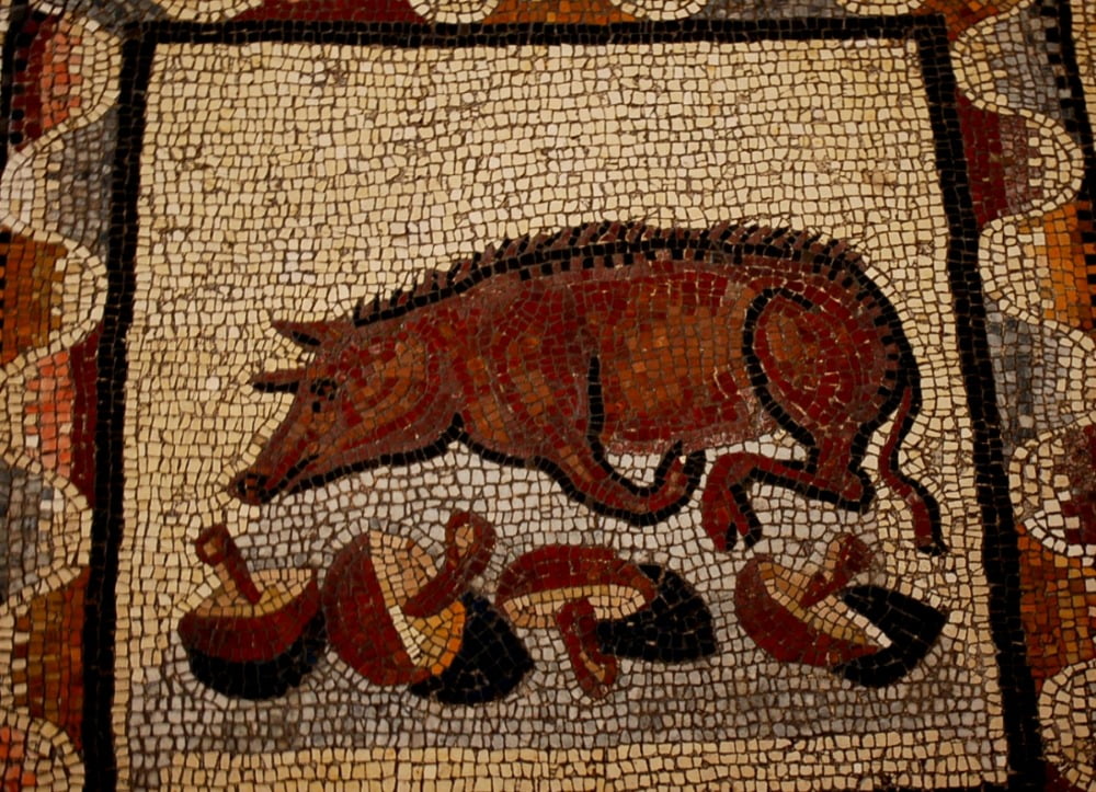 모자이크의 트러플 돼지(Mosaic of Truffle Pig) c. 200 CE / 사진출처. © Vatican Museum, Museo Pio Clementino