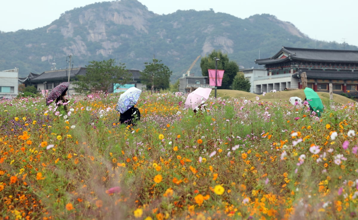 지난 18일 서울 카지노 찰리 열린송현녹지광장에서 시민과 관광객들이 우산을 쓰고 이동하고 있다. /최혁 기자