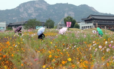 텅 비었던 소나무 고개, ‘이건희 컬렉션’ 만나 잃어버린 ‘시간의 회복’