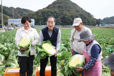 배추밭 찾은 한덕수 총리 "김장 재료 안정에 만전 기할 것"