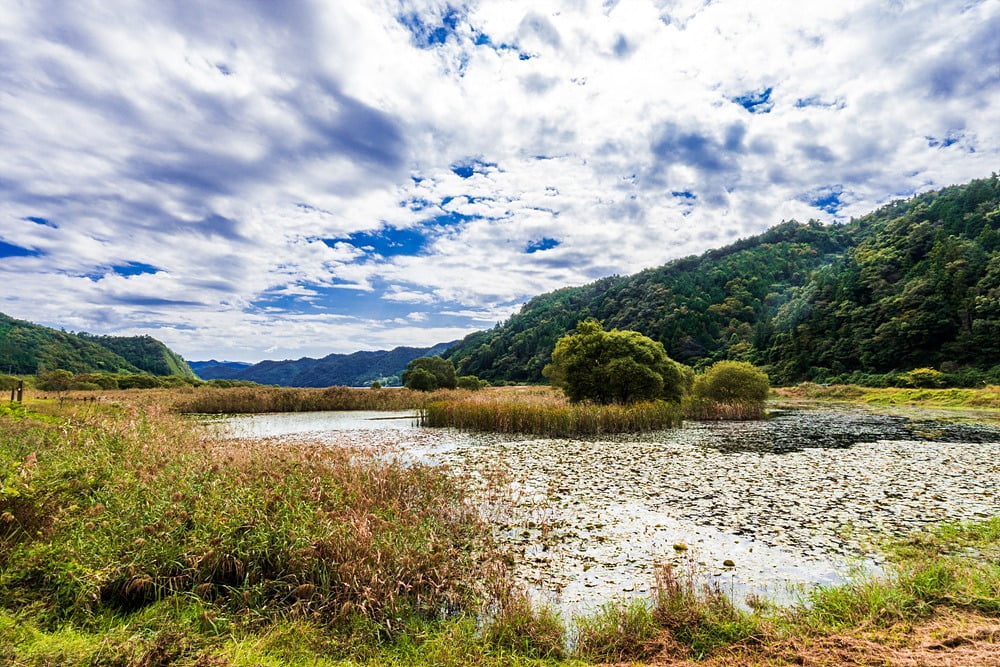 Sinpung Reed Wetland (388-1, Sinpung-ri, Yuchi-myeon, Jangheung-gun, Jeollanam-do)