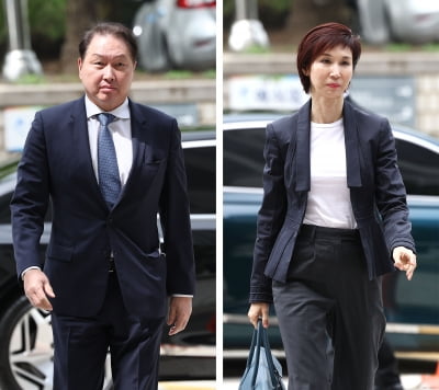 최태원·노소영 2심 이혼 판결문, 대법원서 적법성 다시 심사한다