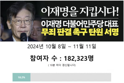 11월 1심 판결 앞두고…민주당 "이재명은 무죄" 여론전