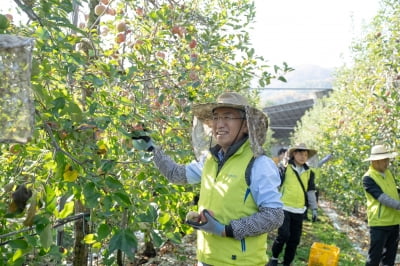 이석준 농협금융 회장, 수확철 농촌일손돕기