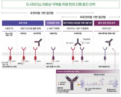 [Cover story – FOCUS] EGFR 내성기전, 어떤 돌연변이 표적을 잡아야 하나