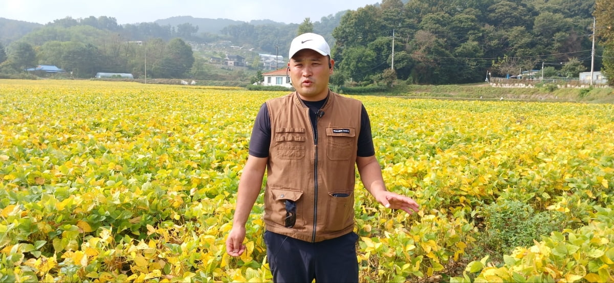 4년전부터 논콩 재배를 해 온 이상진 모가 영농조합법인 대표는 