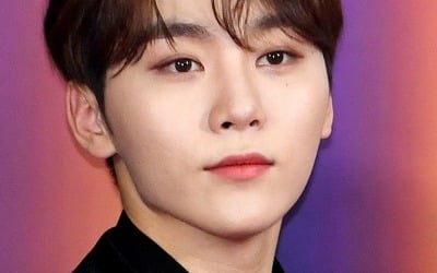 세븐틴 승관, 하이브 내부 문건 작심 비판? "당신들 낄 자격 없다" [전문]