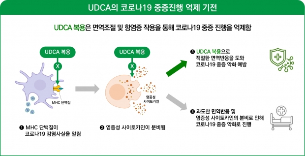 간기능 개선제 UDCA, 코로나 중증 33% 낮춰… SCI 학술지에 논문 등재