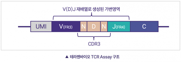 테라젠바이오, ‘TCR 시퀀싱 서비스’ 출시…