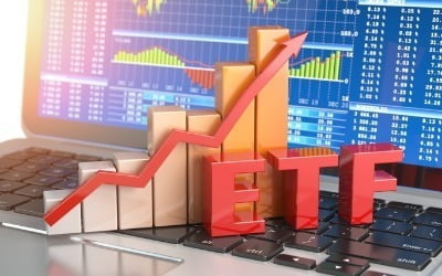 금리 인하에 연말 다가오자…뭉칫돈 몰리는 배당형 ETF