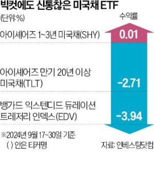 美 빅컷에 오를 줄 알았는데…미국채 ETF 수익률 '미지근'