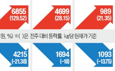 김장철까지 배추·무 값 고공행진 이어진다