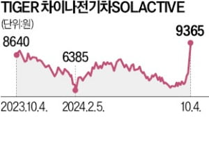 '중학개미 아픈 손가락' 中전기차 ETF, 한달새 40% 급등