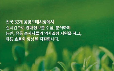 한국농수산식품유통공사, 온라인도매카지노 꽁머니 출범…농산물 유통 디지털 전환…유통단계 줄여 비용 절감, 물류 최적화 이끌어 내