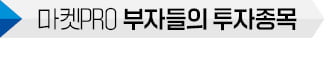 큰손·투자 고수 모두 메이저카지노사이트전자 순매수 1위