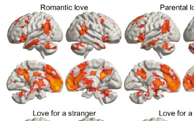 연인보다 '자식 사랑'이 더 강렬…뇌과학이 밝혔다