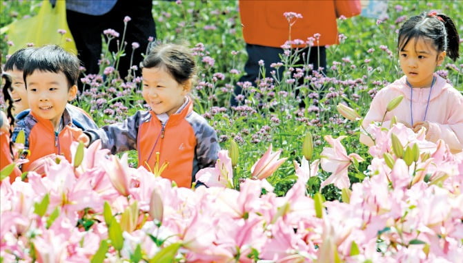 [포토] “가을꽃 구경 나왔어요”   