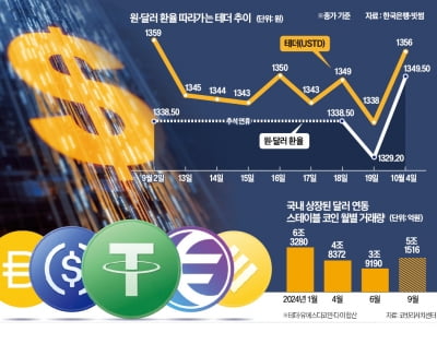 "韓무역 10% 스테이블 코인으로 거래"…통계 안잡혀 지표 왜곡 불러