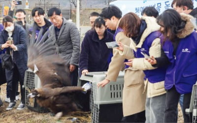 효성, ESG 경영 강화…전사적 친환경 사업, 협력사 교육·컨설팅 지원해 '동반 녹색성장'