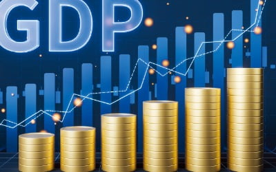 [경제학 원론 산책] 1인당 실질 GDP 늘어나야 진정한 성장