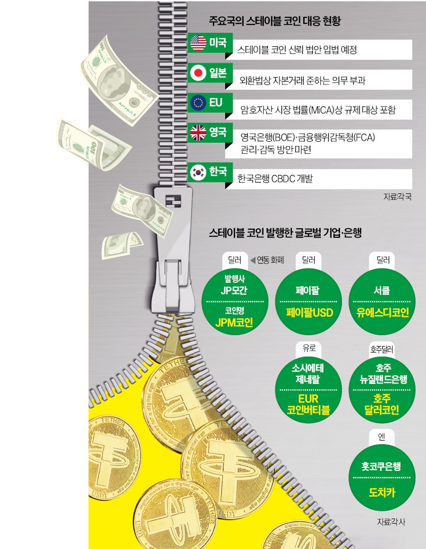 통화주권 위협하는 스테이블 코인…개도국선 화폐 대체도