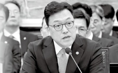 "유한책임회사도 외부감사 받도록 할 것"