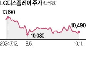 비주력 자산 줄줄이 처분…LGD, 현금 5兆 확보