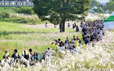 높아진 하늘 선선한 바람…전국 곳곳 축제 한마당