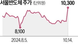 LED 카지노 꽁머니 강자 서울반도체, 유럽서 카지노 꽁머니기술 통합 보호