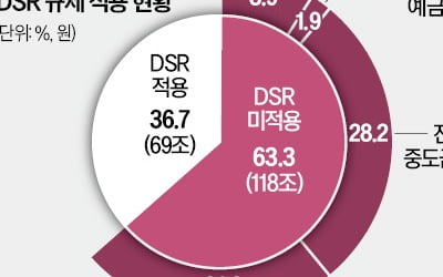 대출 '관리 공백'에 늘어난 가계빚…디딤돌·버팀목 올 30조 폭증