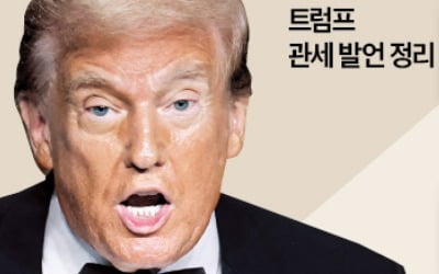 "트럼프 관세, 세계 경제에 수류탄 될 것"